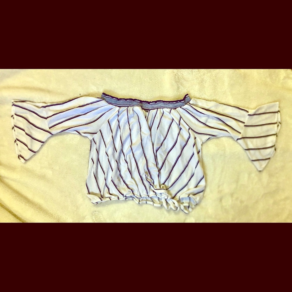 Striped Navy and White Crop Top
